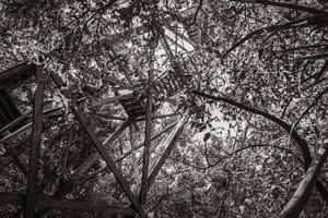 mirador de madera torre selva tropical a laguna muyil panorama mexico. foto