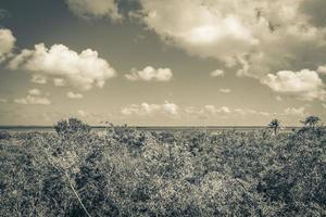 Muyil Lagoon panorama view in tropical jungle Mexico. photo