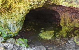 Tropical jungle plants trees rocks stones cave cenote Muyil Mexico. photo