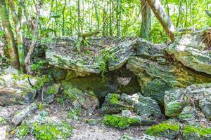 Tropical jungle plants trees rocks stones cave cenote Muyil Mexico. photo