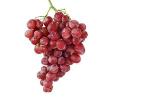 Red grapes isolated on white background with clipping path. photo