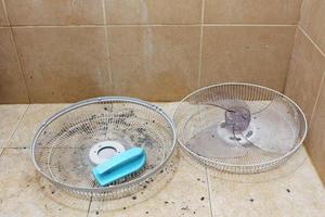 Cleaning parts of a fan in the washing room. photo