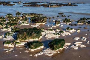 Chalk rocks exposed at low tide in Botany Bay near Broadstairs in Kent photo