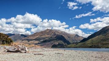 madera a la deriva en la orilla del lago wanaka foto