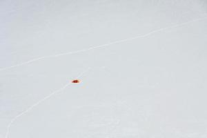 Orange tent on Monte Bianco photo