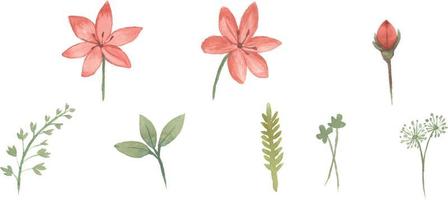 Set of Watercolor wild floral hand drawn leaves and flowers with bouquet elements isolated collection vector