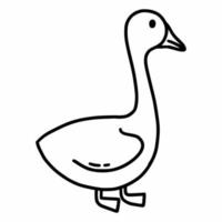 Goose on white background. Farm animals. Vector doodle illustration. Coloring book for kids.