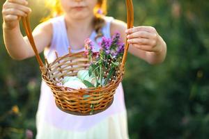 Cute funny girl with painted Easter eggs in spring in nature in a field with golden sunlight and flowers. Easter holiday, Easter bunny with ears, colorful eggs in a basket. Lifestyle photo