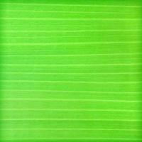 Green banana leaf background abstract photo