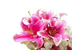 Lily pink orchid flower on white background photo