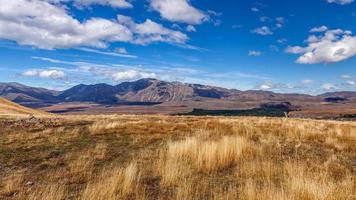Countryside and distant mountains near Tekapo in New Zealand photo