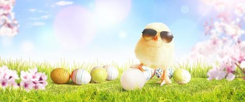 Little cute baby chick on green grass. Yellow newborn baby chick. photo