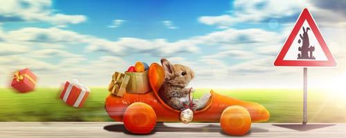 Funny Easter bunny. Happy Easter holiday concept. photo