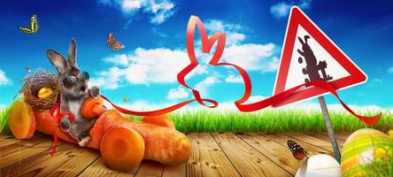 Funny Easter bunny. Happy Easter holiday concept. photo