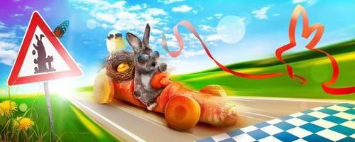 Funny Easter bunny. Happy Easter holiday concept. photo