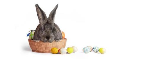 divertido conejito de pascua. feliz concepto de vacaciones de pascua. foto