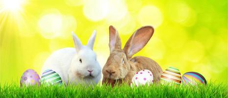 Beautiful Easter background with colorful Easter eggs photo