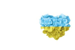 Hydrangea flowers in the shape of a heart are painted in the colors of the Ukrainian flag isolated on white. copy space photo