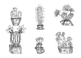 selección de cactus en macetas dibujos de garabatos vector