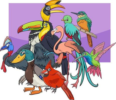 cartoon birds animal characters group