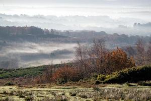 Misty morning in the Ashdown Forest