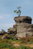 Scenic view of Brimham Rocks in Yorkshire Dales National Park photo