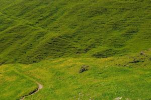 Mountain path through the pastures photo