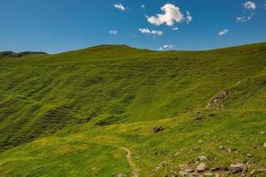 Mountain path through the pastures photo