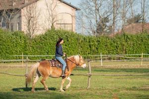 los caballos corren libres foto