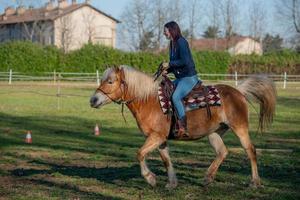 los caballos corren libres foto