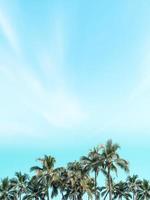 Beautiful coconut palm trees with vintage nature beach background. photo