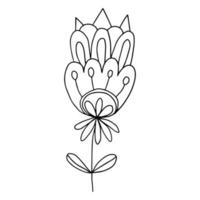 Colorful fantasy doodle cartoon flower isolated on white background. vector