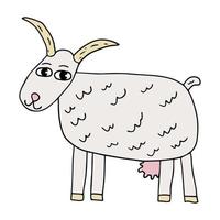 Cute cartoon doodle goat isolated on white background. Farm animal. vector