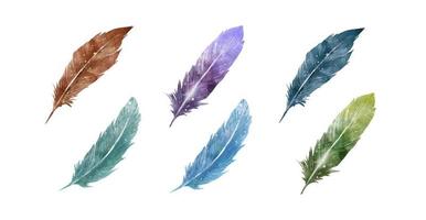 Set of Watercolor feathers isolated on white background for decoration, card, invitations. Hand drawn watercolor paintings vibrant feather vector illustration