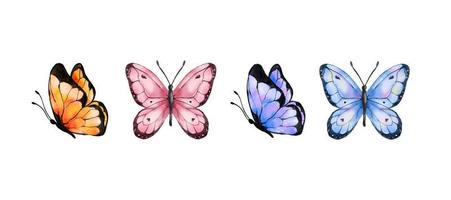 acuarela de mariposas de colores aislado sobre fondo blanco. mariposa azul, naranja, violeta y rosa. Ilustración de vector de animales de primavera