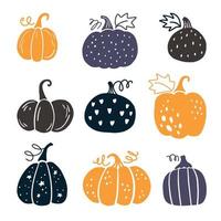 Hand drawing of multicolored pumpkins vector
