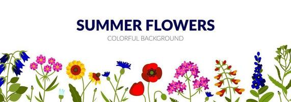 Horizontal summer banner with wildflowers, including bellflower, yarrow, Echinacea, poppy, snapdragon, lavender, lady's purse, cornflower vector