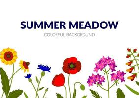 Horizontal summer banner with wildflowers, including yarrow, Echinacea, cornflower, poppy, snapdragon. Vector illustration