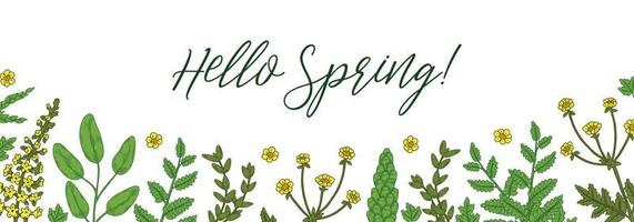 Hello Spring banner with green floral elements. Hand drawn vector illustration