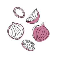 Set of doodle outline onion with spots. Whole and pieces. vector