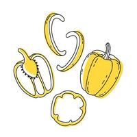 Set of doodle outline bell pepper with spots. Whole and pieces. vector