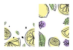 Set background with lemon, flower, leaves. Hand-drawn vector illustration of fruits. In the style of an engraving with colored spots.Citrus, botanical design. For posters, prints, wallpapers, covers