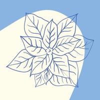 Christmas Star or Poinsettia Flowers for Christmas Decoration Fabulous Magic vector