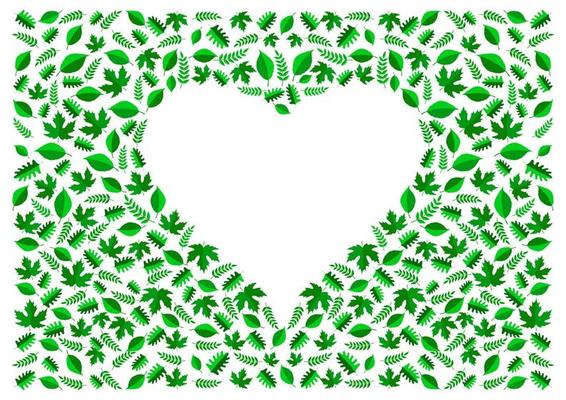 frame green leaves shape heart isolated white background