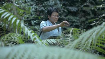 Asian natural researcher or botanist working on digital tablet in tropical forest. video