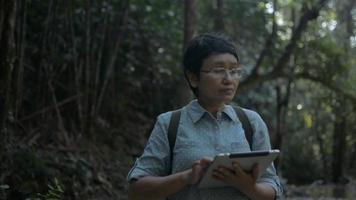 ambientalista femminile che si guarda intorno mentre lavora nella foresta pluviale con una tavoletta digitale. video