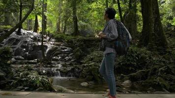 turista de mulher andando pela floresta tropical na ponte de madeira. video