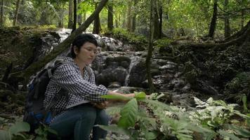 ecologista femenina analizando las características de las plantas que crecen cerca de la cascada y escribiendo notas en un cuaderno.