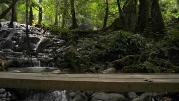 panoreringsbild av vacker naturskön kaskad i skogen under sommaren. video