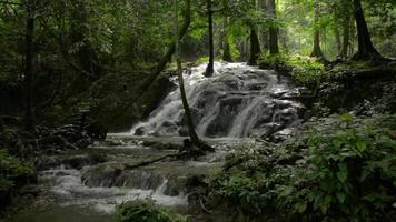 vackert lugnt landskap med vattenfall som flyter över klipporna bland frodiga lövväxter. video